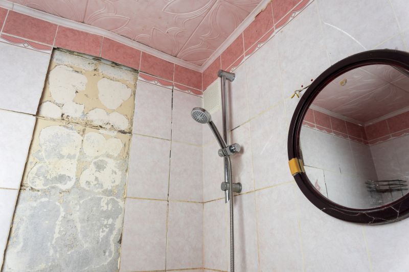 Bathroom Water Damage Repair in Denver County, CO