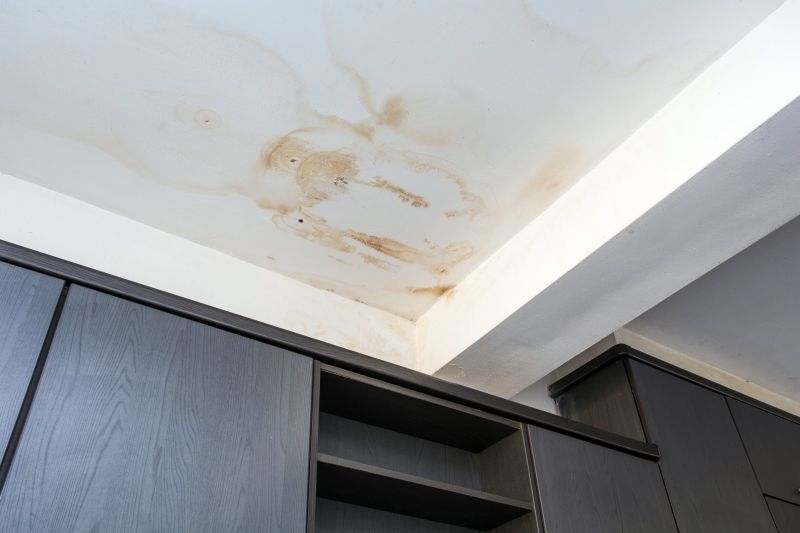 Building Damage Repair in Littleton, CO