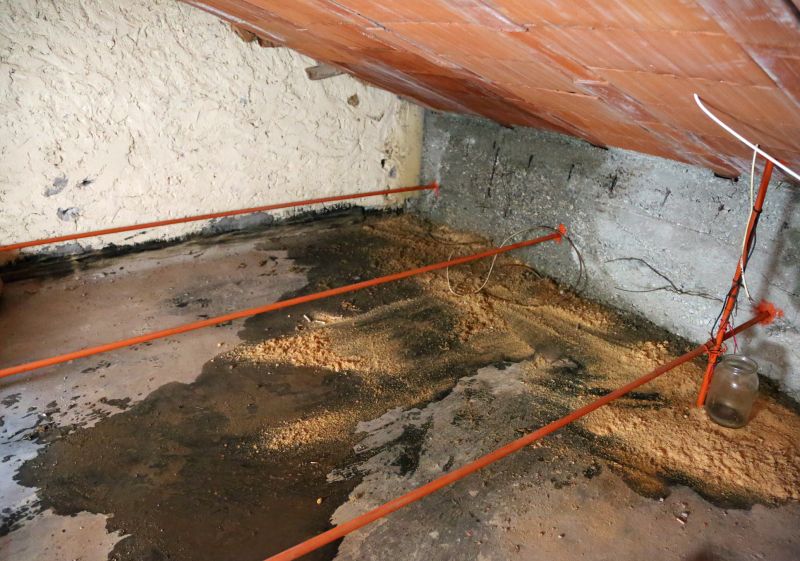 Ceiling Leak Repair Service in Katy, TX
